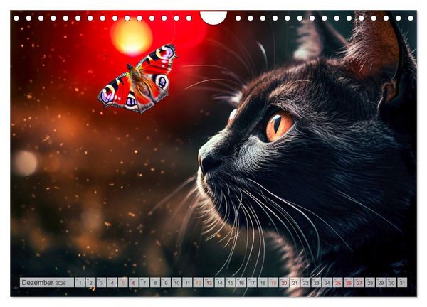 Produktbild: Die Katze und der Schmetterling (Wandkalender 2026 DIN A4 quer), CALVENDO Monatskalender