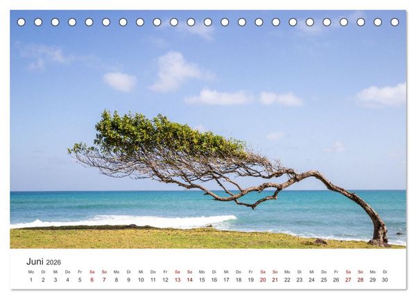 Produktbild: Guadeloupe, Trauminsel der Franz&ouml;sische Antillen (Tischkalender 2026 DIN A5 quer), CALVENDO Monatskalender