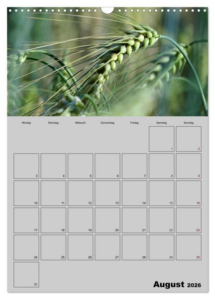 Produktbild: Zeitgewinn (Mein Terminplaner) (Wandkalender 2026 DIN A3 hoch), CALVENDO Monatskalender