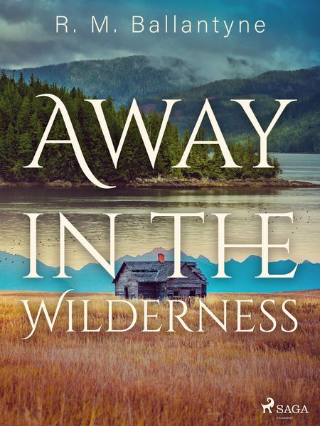 Produktbild: Away in the Wilderness