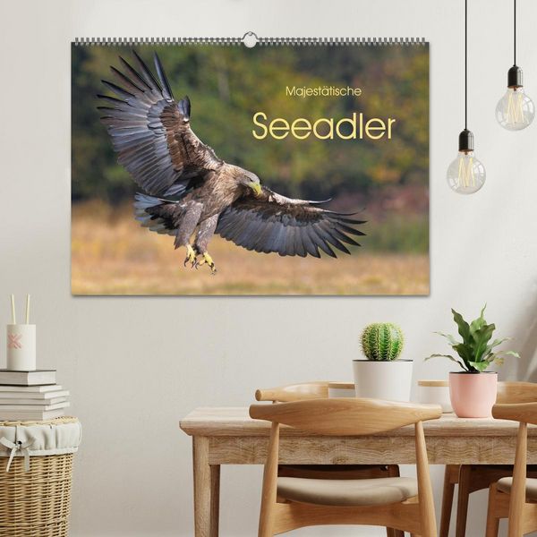 Produktbild: Majest&auml;tische Seeadler (Wandkalender 2026 DIN A2 quer), CALVENDO Monatskalender