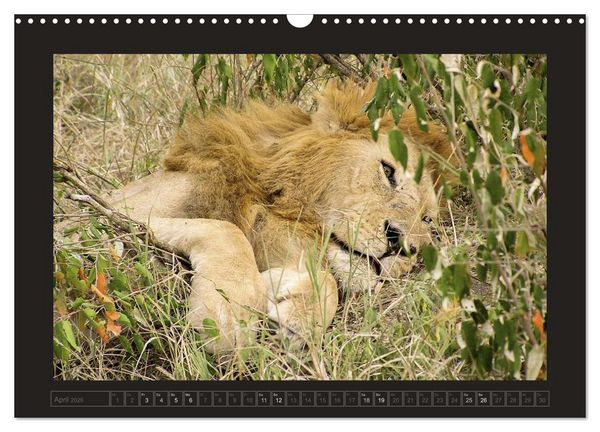 Produktbild: Kenia (Wandkalender 2026 DIN A3 quer), CALVENDO Monatskalender
