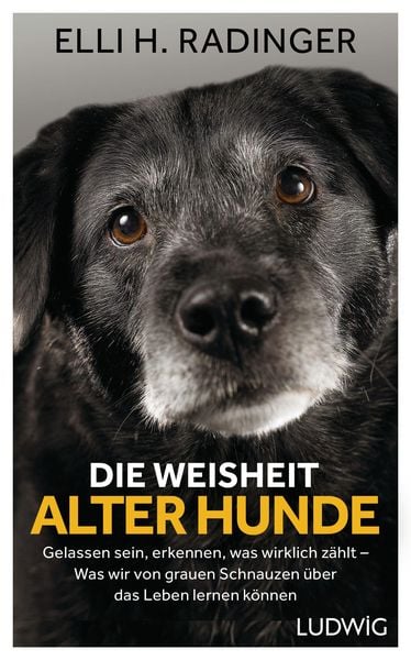 Produktbild: Die Weisheit alter Hunde