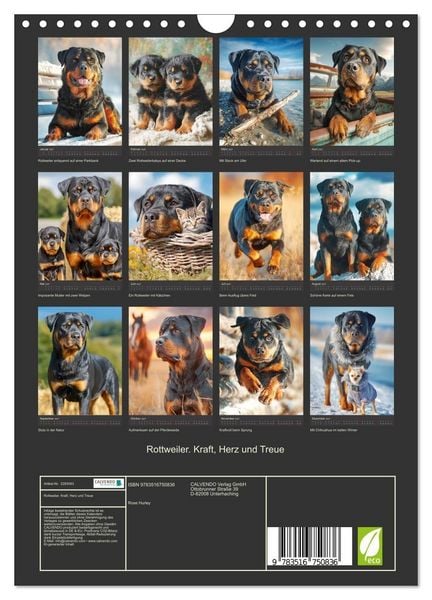 Produktbild: Rottweiler. Kraft, Herz und Treue (Wandkalender 2027 DIN A4 hoch), CALVENDO Monatskalender