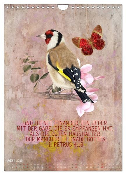 Produktbild: Bibelworte f&uuml;r Vogelfreunde (Wandkalender 2026 DIN A4 hoch), CALVENDO Monatskalender