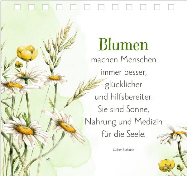 Produktbild: Sch&ouml;ne Momente f&uuml;r die Seele