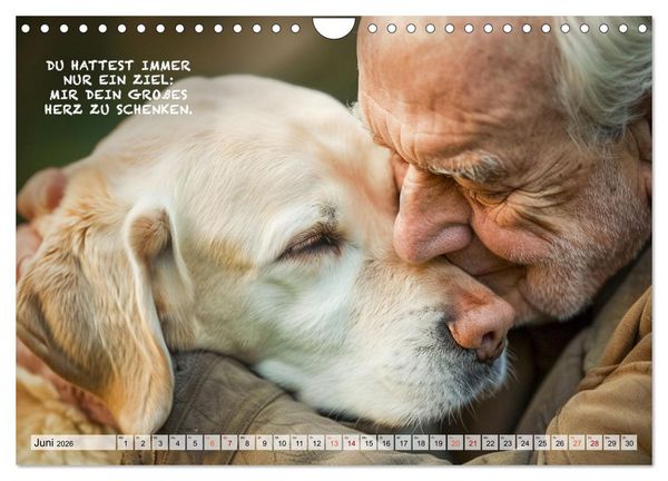 Produktbild: Hunde und ber&uuml;hrende Spr&uuml;che (Wandkalender 2026 DIN A4 quer), CALVENDO Monatskalender