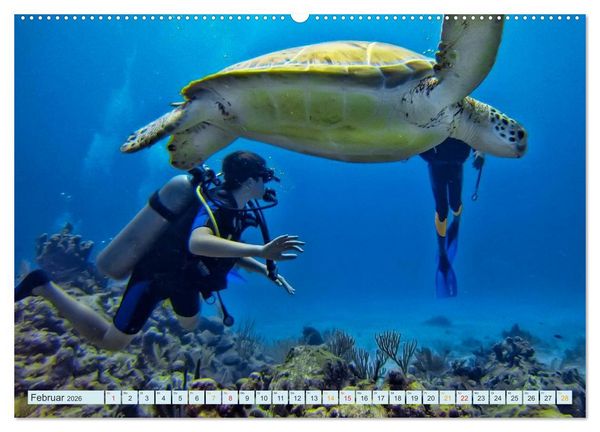 Produktbild: Tauchen - Abenteuer unter Wasser (hochwertiger Premium Wandkalender 2026 DIN A2 quer), Kunstdruck in Hochglanz