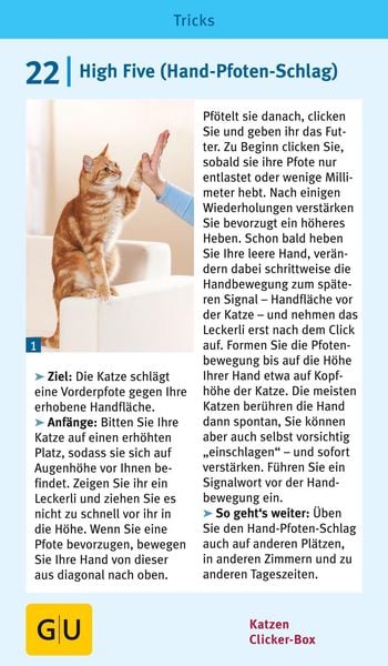 Produktbild: Katzen-Clicker-Box