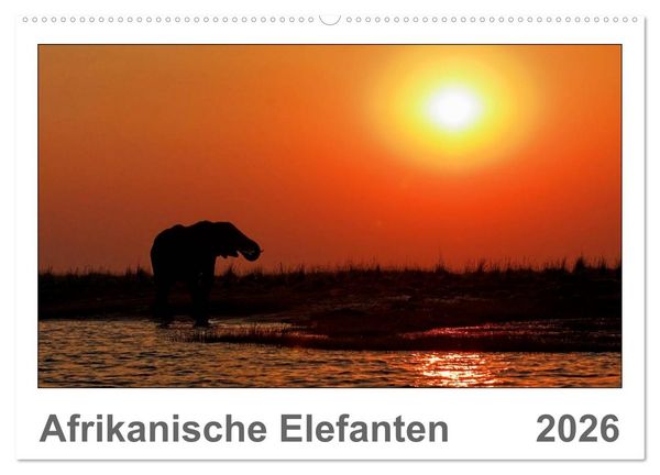 Produktbild: Afrikanische Elefanten (Wandkalender 2026 DIN A2 quer), CALVENDO Monatskalender