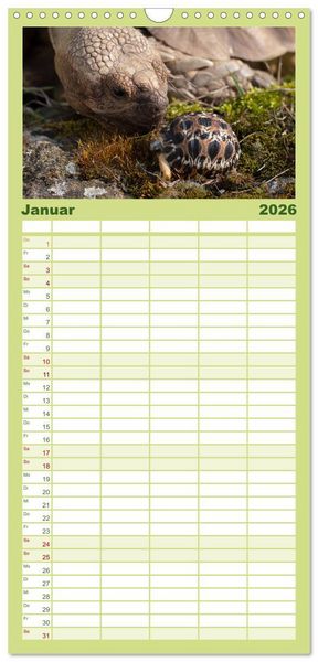 Produktbild: Familienplaner 2026 - Landschildkr&ouml;ten mit 5 Spalten (Wandkalender, 21 x 45 cm) CALVENDO