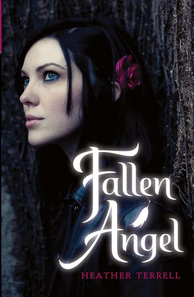 Produktbild: Terrell, H: Fallen Angel