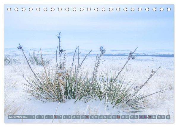 Produktbild: Wildwuchs 2026 (Tischkalender 2026 DIN A5 quer), CALVENDO Monatskalender