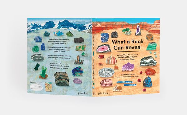 Produktbild: What a Rock Can Reveal