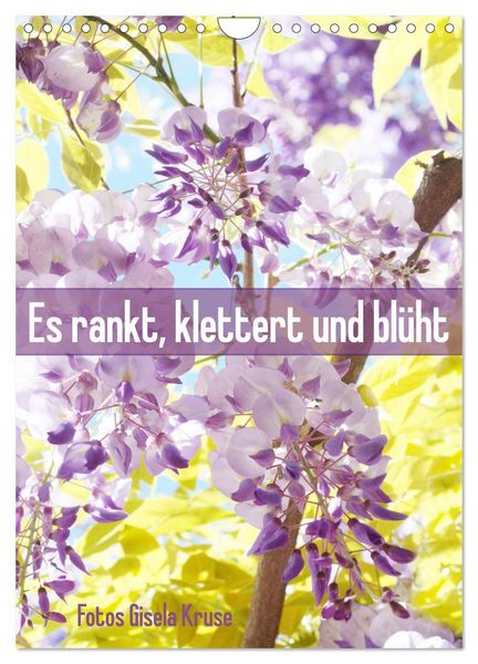Produktbild: Es rankt, klettert und bl&uuml;ht (Wandkalender 2026 DIN A4 hoch), CALVENDO Monatskalender