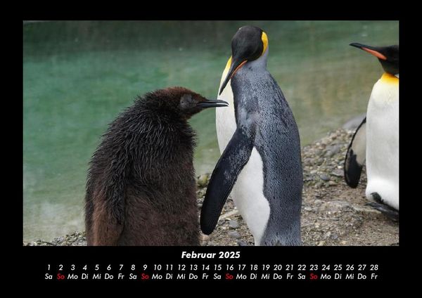 Produktbild: Welt der Tiere 2025 Fotokalender DIN A3