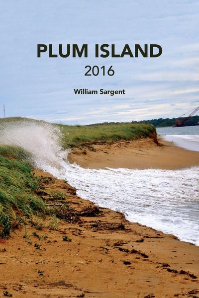 Produktbild: Plum Island 2016