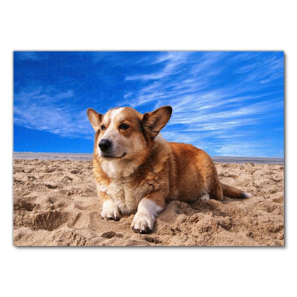 Produktbild: Lais Puzzle Welsh Corgi 1000 Teile