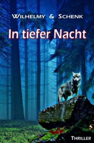 In tiefer Nacht, Taschenbuch von Birgit Wilhelmy , Gabriele Schenk, Epubli, 9783746706757
