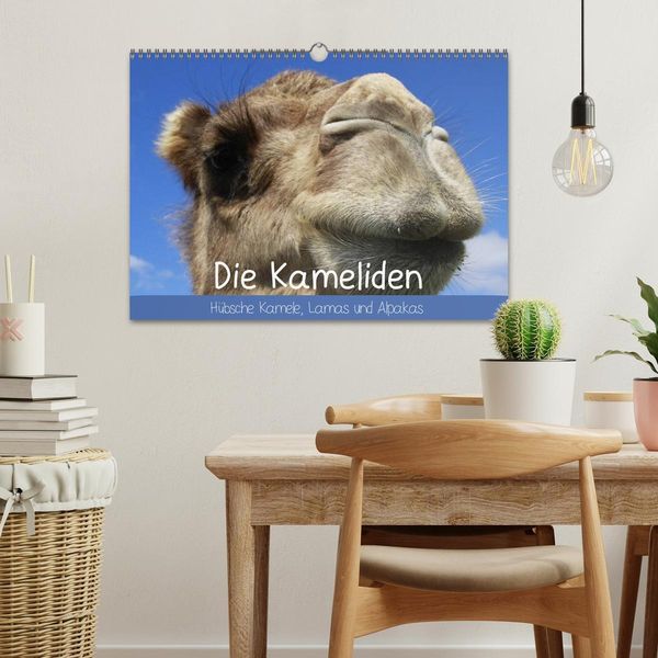 Produktbild: Die Kameliden. H&uuml;bsche Kamele, Lamas und Alpakas (Wandkalender 2026 DIN A3 quer), CALVENDO Monatskalender
