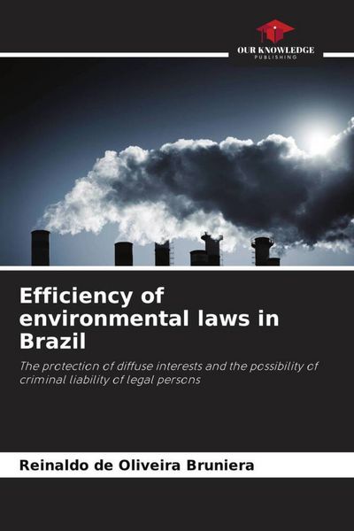 Produktbild: Efficiency of environmental laws in Brazil