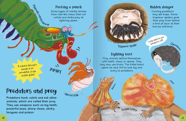 Produktbild: Encyclopedia of Incredible Things