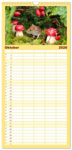 Produktbild: Familienplaner 2026 - Die R&ouml;telmaus - neugierig und verfressen mit 5 Spalten (Wandkalender, 21 x 45 cm) CALVENDO