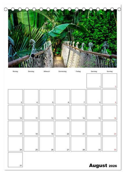 Produktbild: Brasilien. Wo die Sonne wohnt (Tischkalender 2026 DIN A5 hoch), CALVENDO Monatskalender