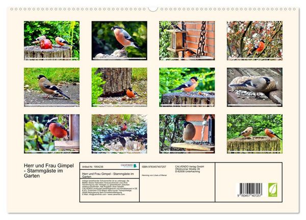 Produktbild: Herr und Frau Gimpel - Stammg&auml;ste im Garten (hochwertiger Premium Wandkalender 2026 DIN A2 quer), Kunstdruck in Hochglanz