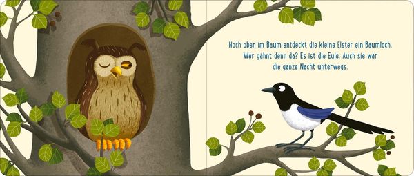Produktbild: Gute Nacht im Wald