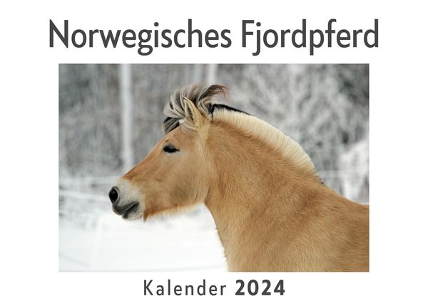 Produktbild: Norwegisches Fjordpferd (Wandkalender 2024, Kalender DIN A4 quer, Monatskalender im Querformat mit Kalendarium, Das perfekte Geschenk)