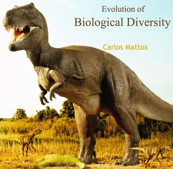 Produktbild: Evolution of Biological Diversity
