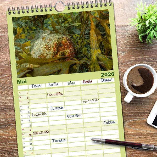Produktbild: Familienplaner 2026 - Unter Wasser rund um Fehmarn mit 5 Spalten (Wandkalender, 21 x 45 cm) CALVENDO