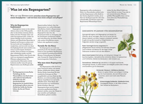 Produktbild: K&ouml;nnen Igel schwimmen und gehen Bienen baden?