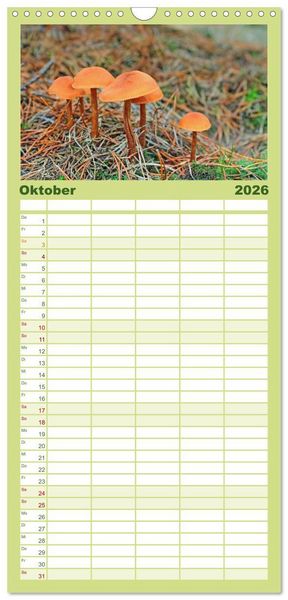 Produktbild: Familienplaner 2026 - Die Sch&ouml;nheit der Jahreszeiten, Sehnsucht nach Farbe und Leichtigkeit mit 5 Spalten (Wandkalender, 21 x 45 cm) CALVENDO