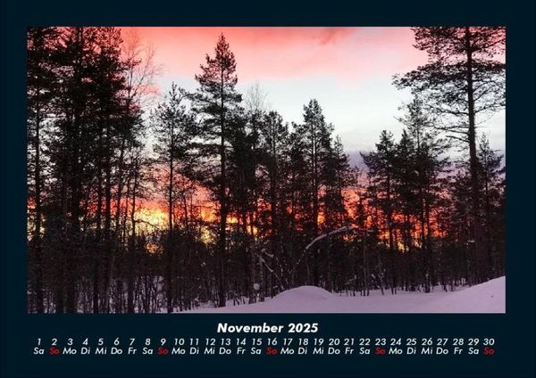 Produktbild: B&auml;ume 2025 Fotokalender DIN A4