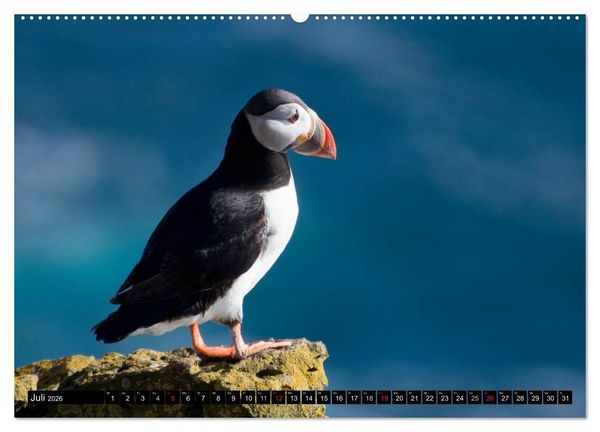 Produktbild: Island (Wandkalender 2026 DIN A2 quer), CALVENDO Monatskalender