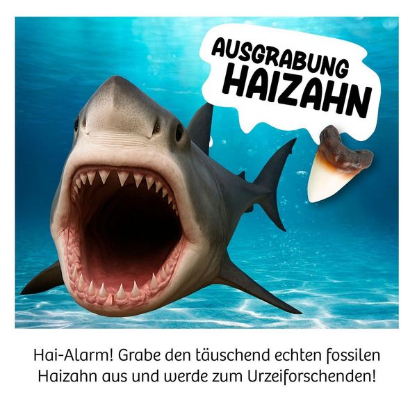 Produktbild: Ausgrabung Haizahn