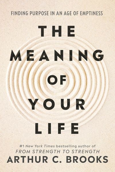 Produktbild: The Meaning of Your Life