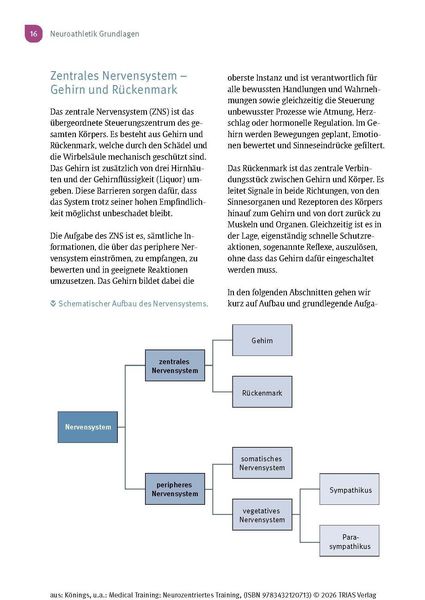 Produktbild: Medical Training: Neurozentriertes Training
