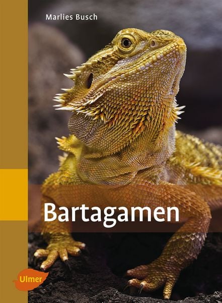 Produktbild: Bartagamen