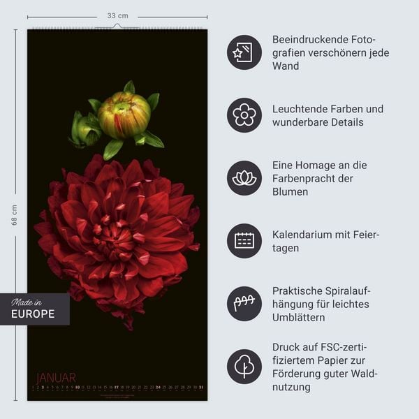 Produktbild: Die Magie der Blumen Kalender 2027