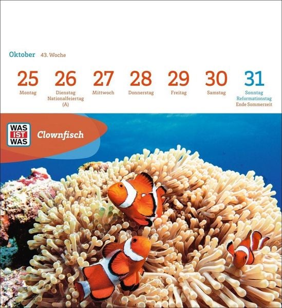 Produktbild: WAS IST WAS Geniale Tiere Postkartenkalender 2027 - Kalender mit 53 Sammelkarten