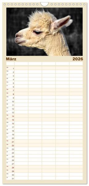Produktbild: Familienplaner 2026 - Alpaka Gesichter mit 5 Spalten (Wandkalender, 21 x 45 cm) CALVENDO