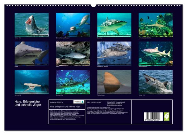 Produktbild: Haie. Erfolgreiche und schnelle J&auml;ger (hochwertiger Premium Wandkalender 2026 DIN A2 quer), Kunstdruck in Hochglanz