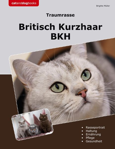 Produktbild: Traumrasse Britisch Kurzhaar