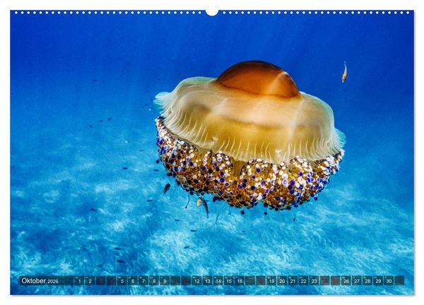 Produktbild: Bella Italia - Berge und Meer (hochwertiger Premium Wandkalender 2026 DIN A2 quer), Kunstdruck in Hochglanz