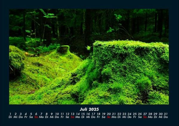Produktbild: Waldzauber 2025 Fotokalender DIN A4