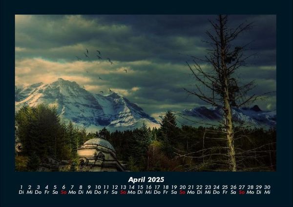 Produktbild: B&auml;ume 2025 Fotokalender DIN A4