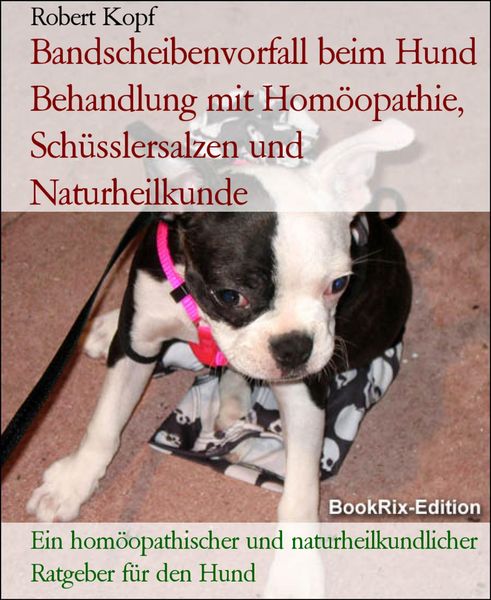 Produktbild: Bandscheibenvorfall beim Hund Behandlung mit Hom&ouml;opathie, Sch&uuml;sslersalzen und Naturheilkunde